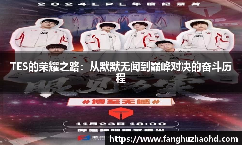 TES的荣耀之路：从默默无闻到巅峰对决的奋斗历程
