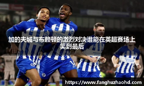 加的夫城与布赖顿的激烈对决谁能在英超赛场上笑到最后
